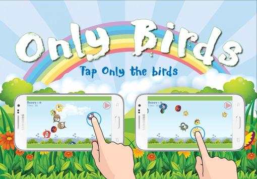 Only Birds Game 2017 screenshot 2