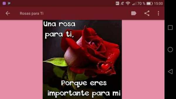 Rosas com frases bonitas 🌹 screenshot 8