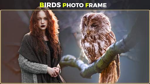 Birds Photo Frames स्क्रीनशॉट 3