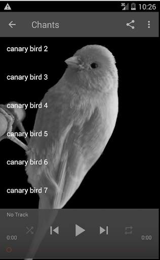 canari chant स्क्रीनशॉट 1