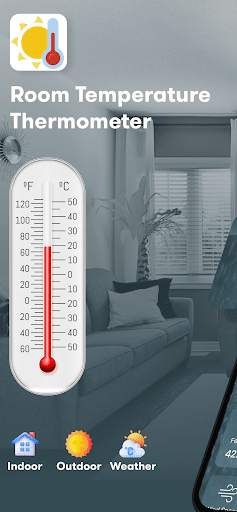 Room Temperature Thermometer screenshot 1