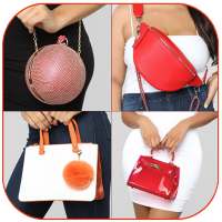 Designer Handbags and purses