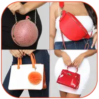 Designer Handbags and purses