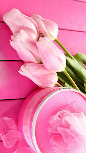 Pink Tulips Live Wallpaper screenshot 5