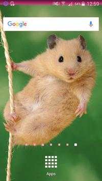 Hamster Wallpapers screenshot 2