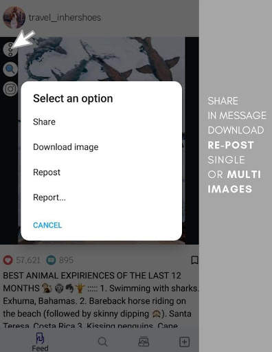 PINN2: All In One Instagram Assistant screenshot 3