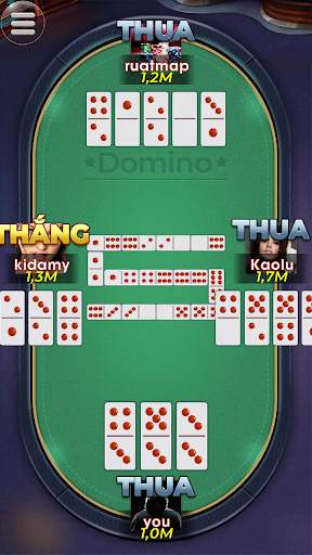 Domino screenshot 7