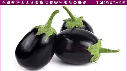 Learn Odia Fruits and Vegetables Names скриншот 15