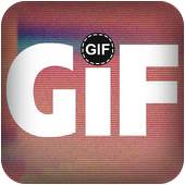 GIFs Animated 1