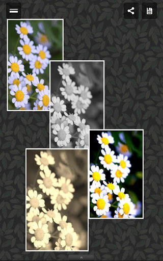Photo Album screenshot 8