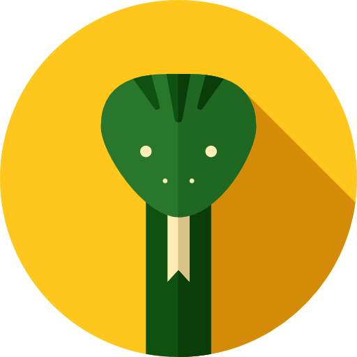 The Snake Game: Snake2 1.1