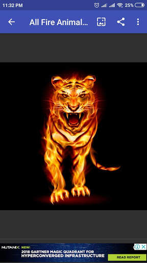 Free Fire Animal Wallpaper HD screenshot 5