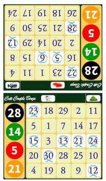 Couple Bingo-2 Player Game screenshot 15