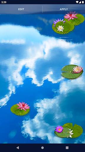 Water Lily Live Wallpaper screenshot 5