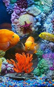 Ocean World screenshot 3