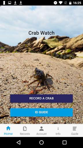 Crab Watch скриншот 2