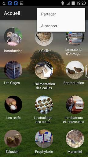 Quail breeding (Guide) screenshot 9