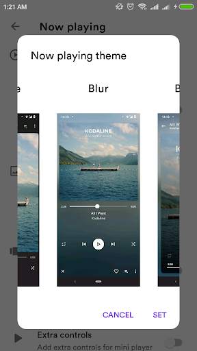 KoKo  Player: Power and Beauty music player screenshot 7
