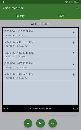 Voice Recorder 10 تصوير الشاشة