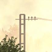 Road Trip Live Wallpaper 0.3.2