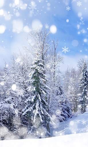 Snow Wallpaper HD : backgrounds & themes screenshot 1