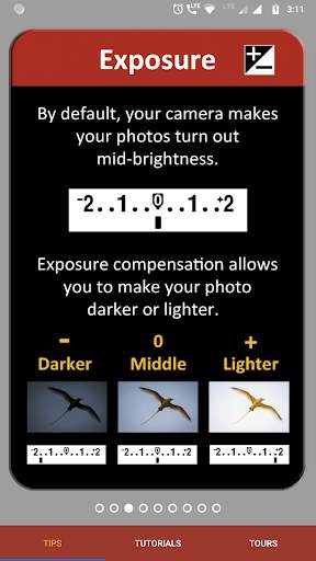 Camera Cards screenshot 3