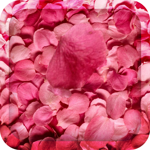 Flower Petals 3D Wallpaper HD icon