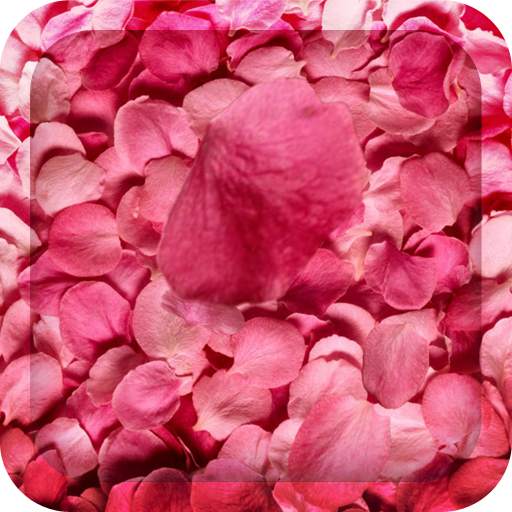 Flower Petals 3D Wallpaper HD 1.3.5