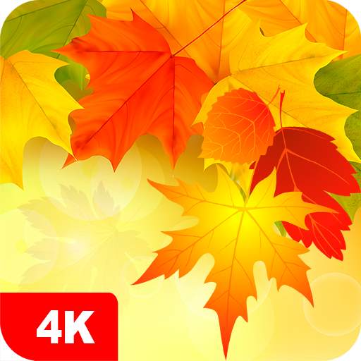 Autumn Wallpapers 4K 5.5.9