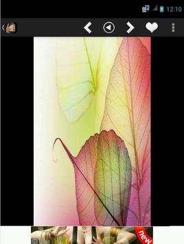 Tembus Pandang Wallpaper screenshot 1