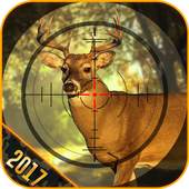Deer Hunting King 3D 1.02