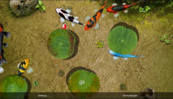 Koi Special Free Live Wallpaper screenshot 9