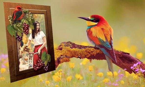 Birds Photo Frames स्क्रीनशॉट 2