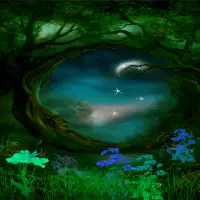 Magical Night Live Wallpaper icon