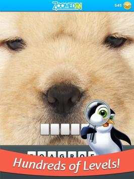Zoomed In - Photo Word Game screenshot 8