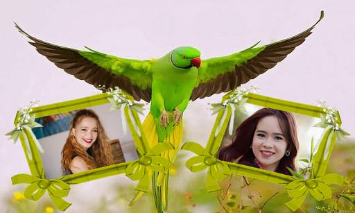 Love Birds Dual Photo Frame screenshot 4