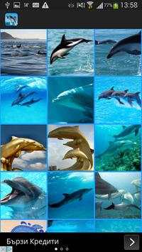 Dolphins Wallpaper screenshot 1