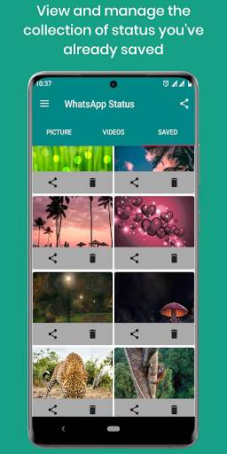 status saver app screenshot 3