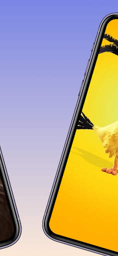 Angry Wallpaper Bird Screen HD स्क्रीनशॉट 4