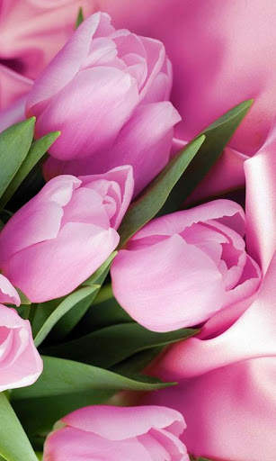 HD Pink Tulips Live Wallpaper screenshot 14