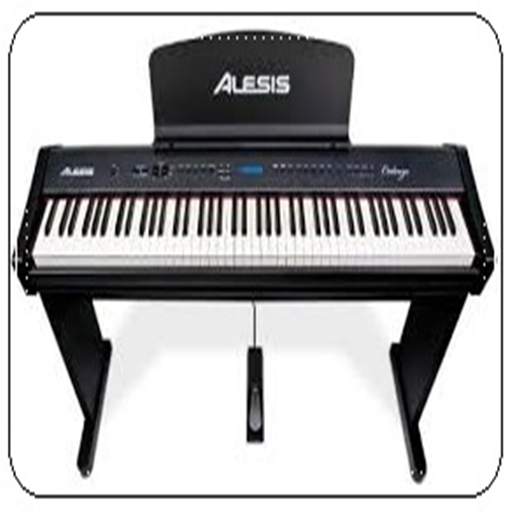 Alesis Recital 88-key Digital Piano  Reviews 0.1