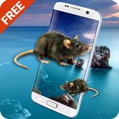 Mouse On Screen - Funny Scary Joke icon