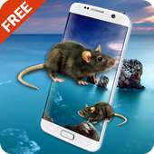 Mouse On Screen - Funny Scary Joke