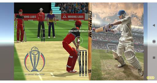 Cricket screenshot 2