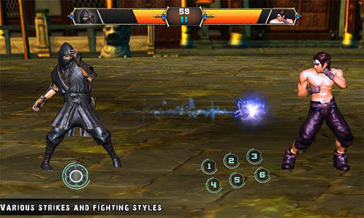 Ninja Deadly Kung Fu Fighting Tiger Game screenshot 2