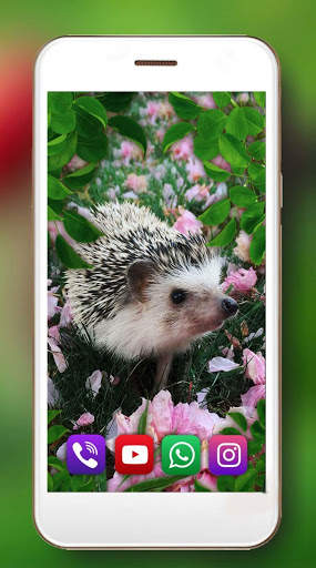 Hedgehogs Forest Live Wallpaper screenshot 1