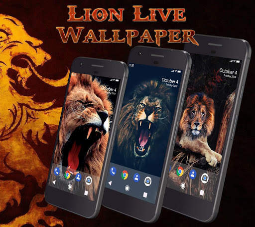 Wild Lion Live Wallpaper screenshot 1