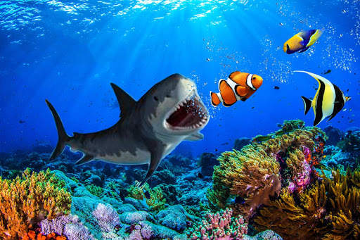 Angry Shark Attack Simulator 2019 screenshot 13