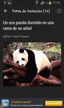 Fotos de Animales screenshot 5