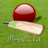 Play Cricket 16.0